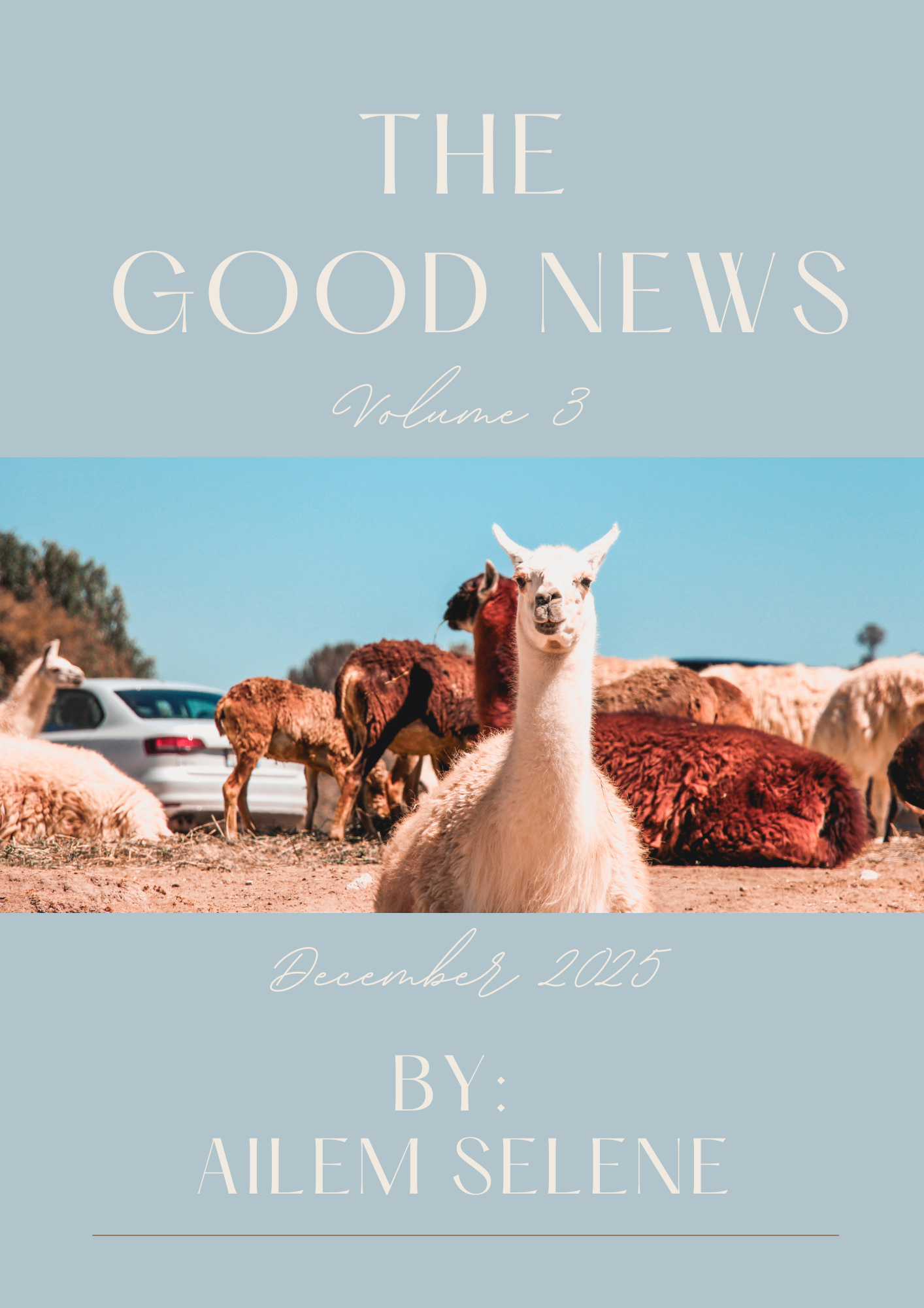 Rough volume 3 mini magazine